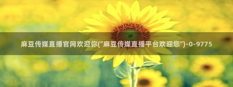 麻豆传媒官网麻豆官网md.pub：麻豆传媒直播官网欢迎你(\