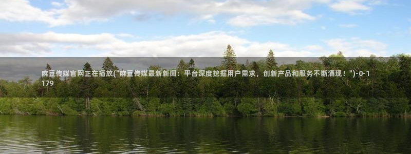 麻豆视传媒官网星辰：麻豆传媒官网正在播放(\