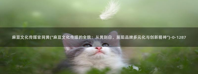 麻豆传媒官网正在播放：麻豆文化传媒官网黄(\