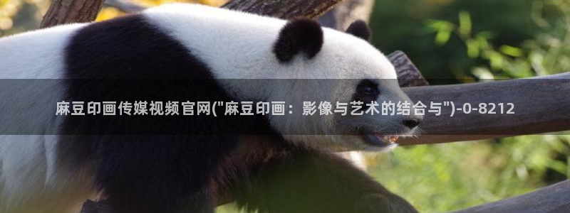 麻豆啊传媒官网在线：麻豆印画传媒视频官网(\