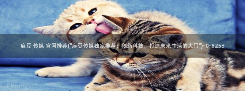 麻豆传媒官网链接：麻豆 传媒 官网推荐(\