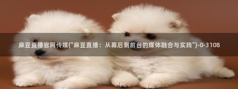 麻豆啊传媒app官网：麻豆直播官网传媒(\