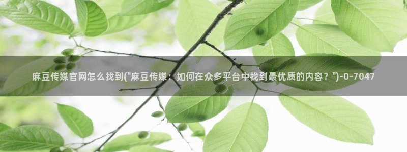 麻豆传媒官网演员