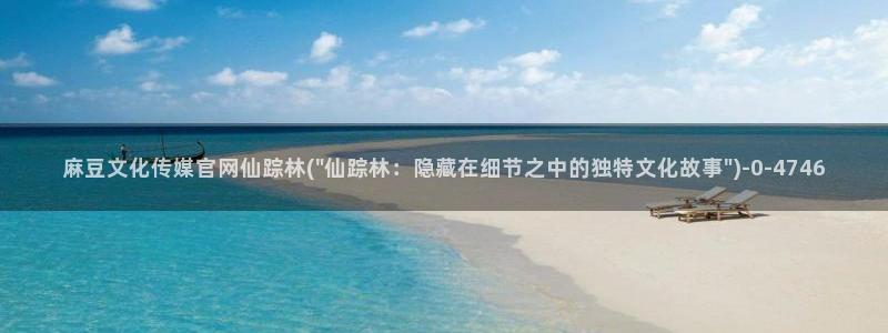 麻豆传媒官网app入口