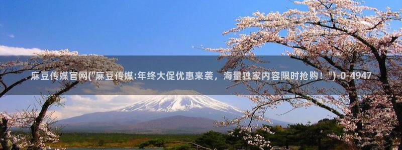 麻豆床传媒官网：麻豆传媒官网(\