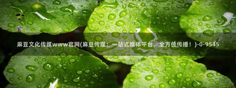 麻豆传媒官网版下载