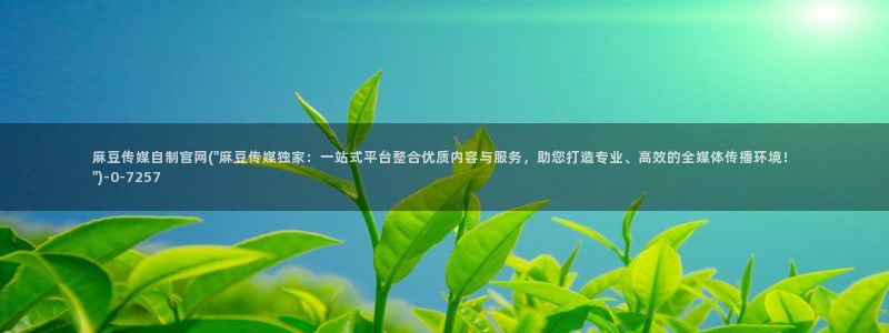9麻豆传媒官网