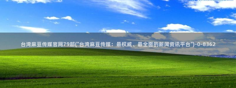 麻豆眏画传媒官网