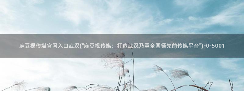 麻豆av传媒官网进入