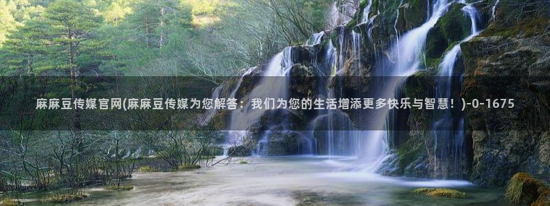 麻豆传媒映视官网