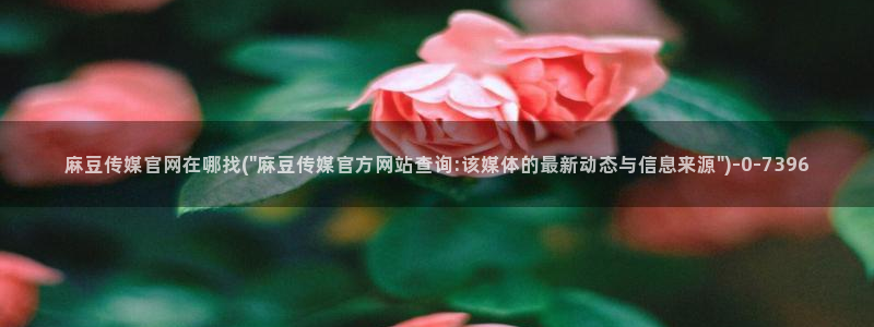 麻豆经济传媒台湾官网：麻豆传媒官网在哪找(\