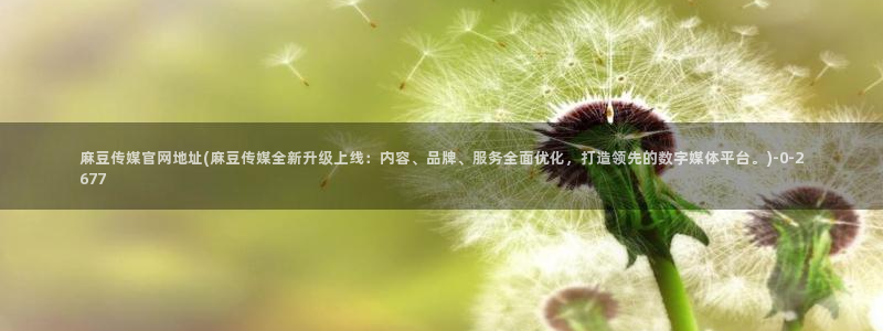 麻豆短传媒官网安卓下载：麻豆传媒官网地址(麻豆传媒全新升级上线：内容、品牌、服务全面优化，打造领先的数字媒体平台。)